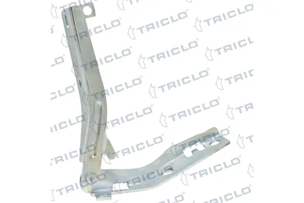 Motor Kaput Menteşesi Sağ Peugeot 206 (08.1998->)  BITAPART BPE276004