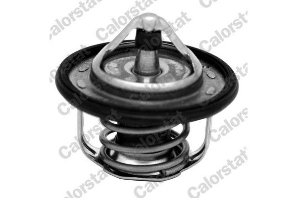 Termostat 95 °C  Renault Clio III (08.2005->)  CALORSTAT TH7300.95J