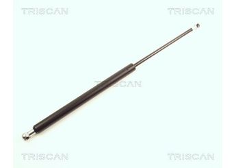 Bagaj Amortisörü Sağ veya Sol BSG 75-980-036  7700828451 7700843698 7700 843 698 6001545836 6001 545 836 7700 828 451