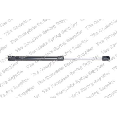 Motor Kaput Amortisörü Sağ veya Sol Nissan Maxima QX (CA33)(01.2000->)  LESJÖFORS 8062001