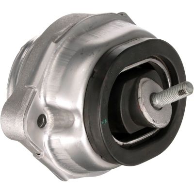 Motor Takozu Ön BMW X5 Serisi (E53)(2000->)  RAPRO R55592