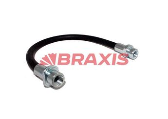 Fren Hortumu Arka Sağ BRAXIS AH0589  9008094A65