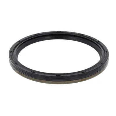 Krank Keçesi Arka BMW X3 Serisi (F25)(03.2011->)  CORTECO 19036885B