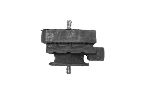 Şanzıman Takozu Arka BMW 5 Serisi Sedan (E60)(2003->)  RIW BW12112