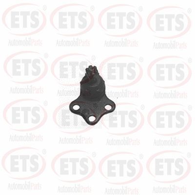 Rotil Alt Sağ veya Sol RIW CV1012