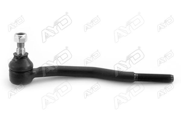 Rot Başı Sol AYD 00215