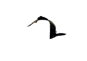 Çamurluk Davlumbazı Ön Sol EUROBUMP SKO15FA002Y  6Y0809957E 6Y0809957A 6Y0809957B 6Y0809957C