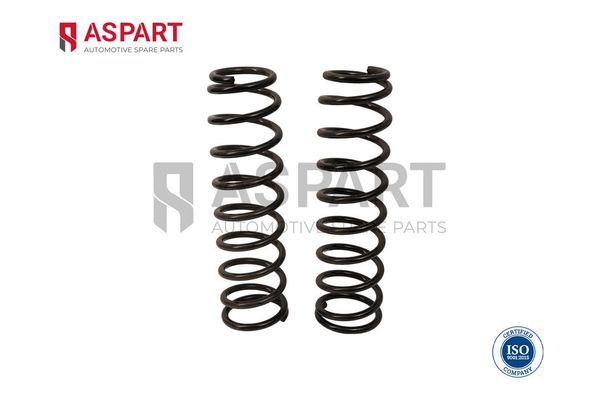 Helezon Yayı Arka ASPART 1CSP1119