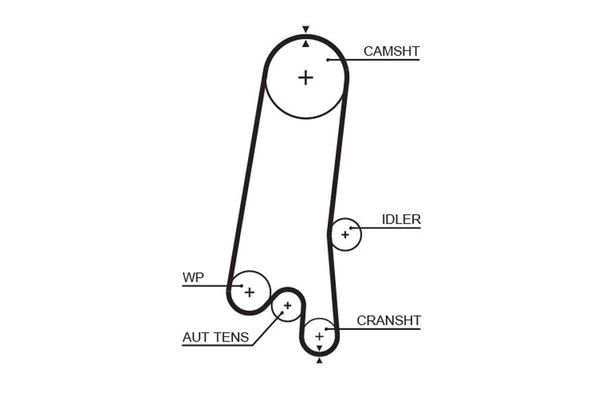 Triger Kayışı  GATES 5597XS