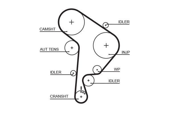 Triger Kayışı  Audi A3 (8L)(09.1996->)  GATES 5559XS