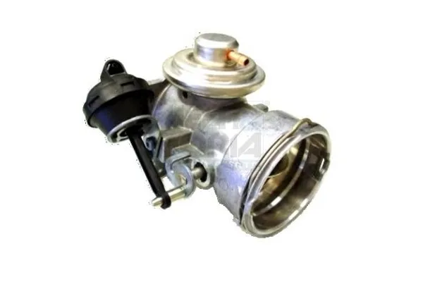 Egr Valfi  SWAPP 51322