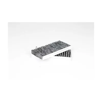 Polen Filtresi  BMW X2 Serisi (F39)(11.2017->)  BSG 15-145-018