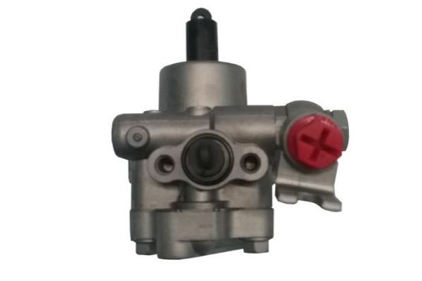 Direksiyon Pompası  Nissan Murano (Z51)(06.2008->)  SPIDAN 52888