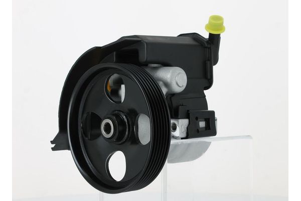 Direksiyon Pompası  RAMSAN 211106