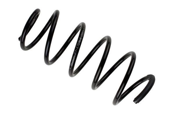 Helezon Yayı Ön Ford Fusion (CBK)(2002->)  STANDART YAY 110093F