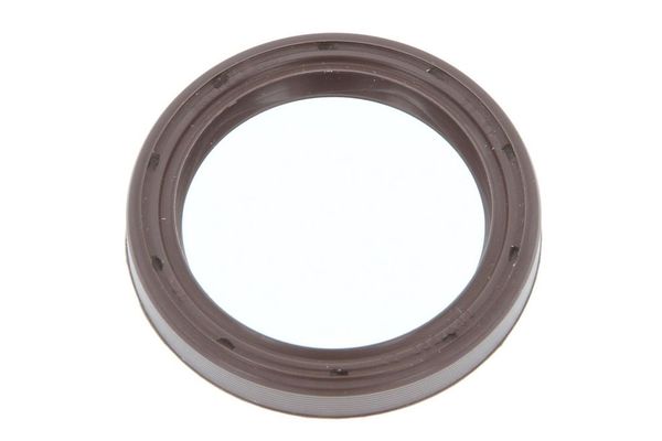 Eksantrik Keçesi  REINZ 81-24641-10