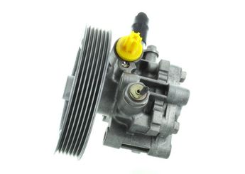 Direksiyon Pompası  SPIDAN GKNY10044  4007TK 4007.TK