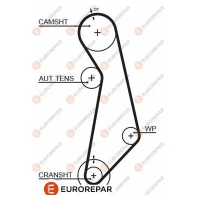 Triger Kayışı  Volkswagen Polo III Variant (6V5)(05.1997->2002)  EUROREPAR 1633129880