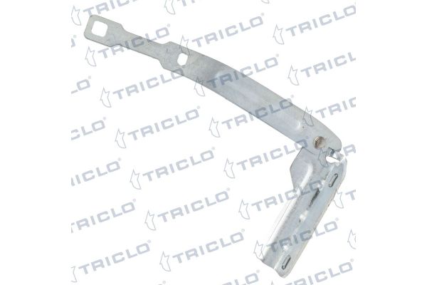 Motor Kaput Menteşesi Sağ BITAPART BDA276002