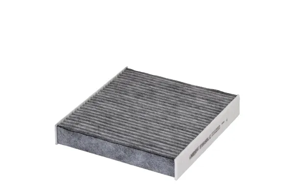 Polen Filtresi  HENGST FILTER E6958LC