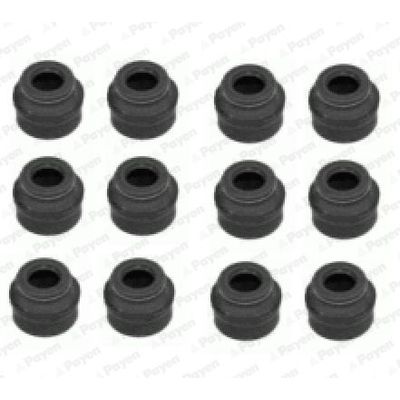 Supap Lastiği  PAYEN HR662