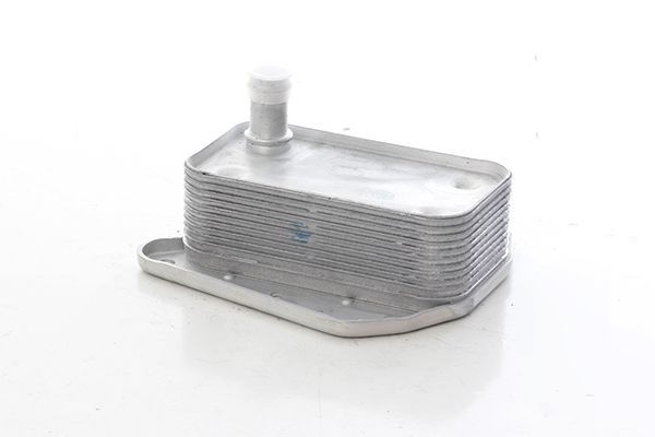 Motor Yağ Soğutucu  Mercedes C -Serisi Sportcoupe (BM 203)(10.2000->)  BSG 60-506-017