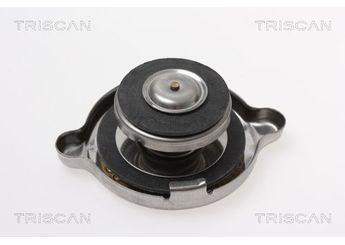 Radyatör Kapağı  BSG 25-551-007  4256223 1304010 4256227 B2AZ8100F B2AZ810-0F D3HZ8100A D3HZ810-0A E0HZ8100A E0HZ810-0A E2NN8100AA E2NN810-0AA E6HT8100AA E6HT810-0AA E6HZ8100D E6HZ810-0D E8TH8100BA E8TH810-0BA C18460 21011304010 2101-1304010 6410878 64 10 878 HB11701200 HB1 170 120 0