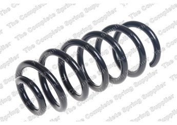 Helezon Yayı Arka BSG 75-305-047  550201136R