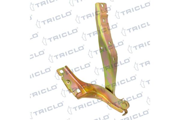 Motor Kaput Menteşesi Sol BITAPART BPE276038