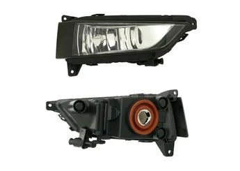 Sis Farı Ön Sağ TYC SKO10FA059  6VA941700