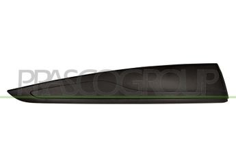Kapı Bandı Arka Sağ BSG 75-922-395  828762614R