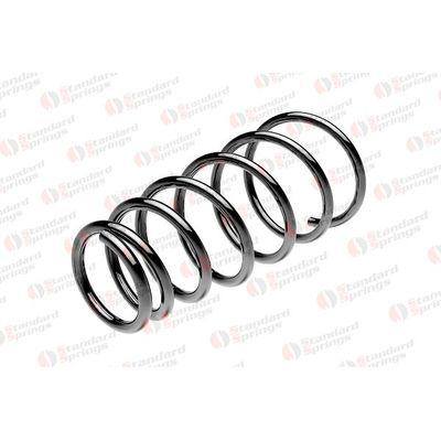 Helezon Yayı Arka FROW 566.1233.008