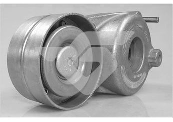 Vantilatör Kayış Gergi Rulmanı  BMS 554  A6422000470