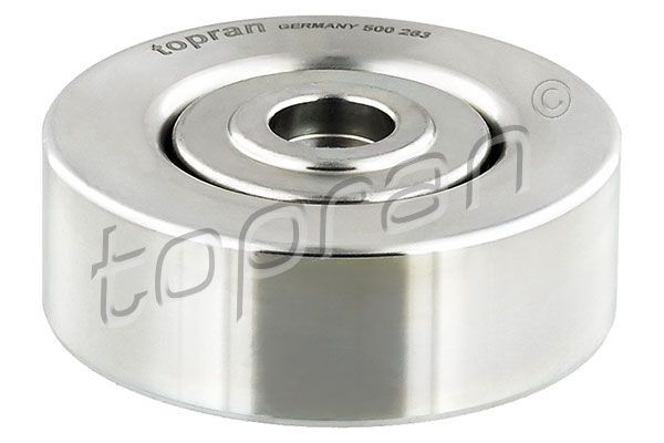 Vantilatör Kayış Gergi Rulmanı  Land Rover Freelander 1 (LN)(09.2002->)  TOPRAN 500 263