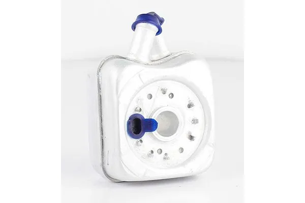 Motor Yağ Soğutucu  Volkswagen Crafter Kamyonet (2F)(03.2006->2017)  BSG 90-506-002