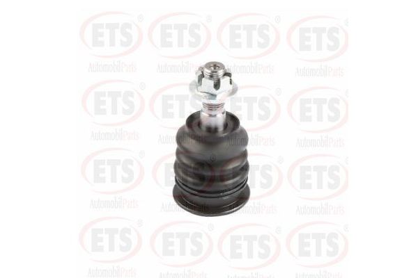 Rotil Alt Sağ veya Sol BSG 47-310-001