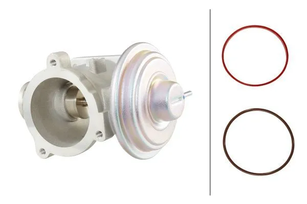 Egr Valfi  BMW X5 Serisi (E53)(2000->)  HELLA 6NU 010 171-701