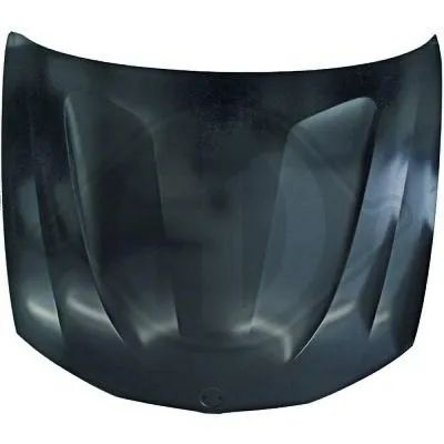 Motor Kaputu  BMW X3 Serisi (F25)(03.2011->)  VORTEX V0200215