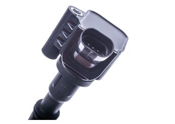 Ateşleme Bobini  BSG 25-835-009  55267998