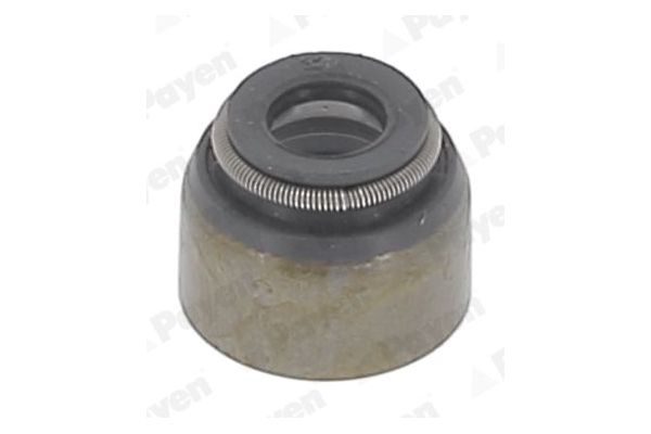 Supap Lastiği  PAYEN PB355