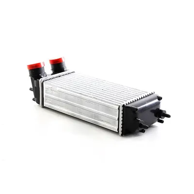 Turbo Radyatörü  Ford B-MAX (CB2)(2012->)  EUROCRAFT EU F24172-007