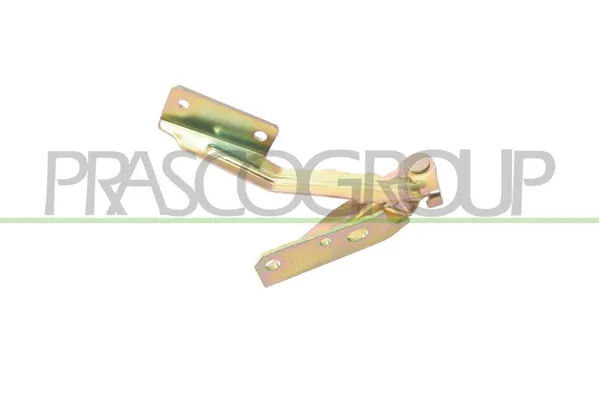 Motor Kaput Menteşesi Sağ PRASCO FD4203703