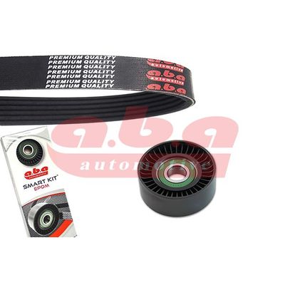 Vantilatör Kayışı Seti  A.B.A 6PK1745S1