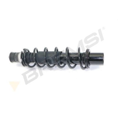 Amortisör Arka Sağ veya Sol Renault Twizy (02.2012->)  RENAULT ORJINAL 554001143R