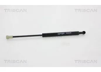 Bagaj Amortisörü Sağ veya Sol MGA 93256  8731R7 8731.R7 9682256580 96 822 565 80