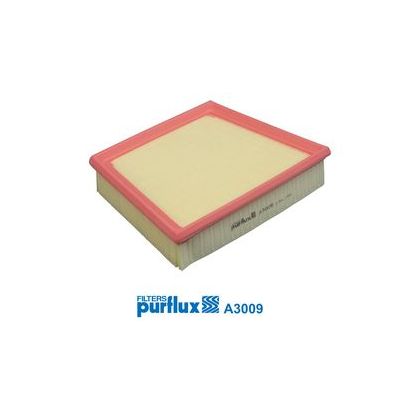 Hava Filtresi  PURFLUX A3009