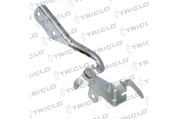 Motor Kaput Menteşesi Sağ OPTIMUM 654008394R