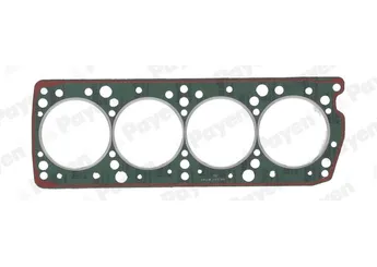 Silindir Kapak Contası  PAYEN BT410  5891308 5984010 7540290 7552551 7604263 7625500 7662197 7672168