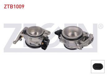 Gaz Kelebeği  ZEGEN ZTB1009  161192787R 7700102870 16 11 927 87R 77 00 102 870