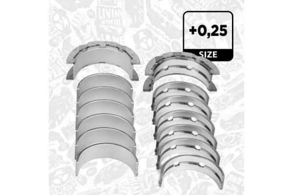 Ana Yatak (0.25)  KOLBENSCHMIDT 77953610